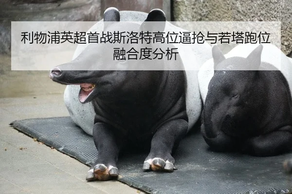 利物浦英超首战斯洛特高位逼抢与若塔跑位融合度分析