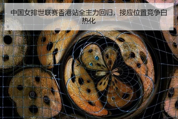zhong-guo-nv-pai-shi-lian-sai-xiang-gang-zhan-quan-zhu-li-hui-gui-jie-ying-wei-zhi-jing-zheng-bai-re-hua-2-496.jpg