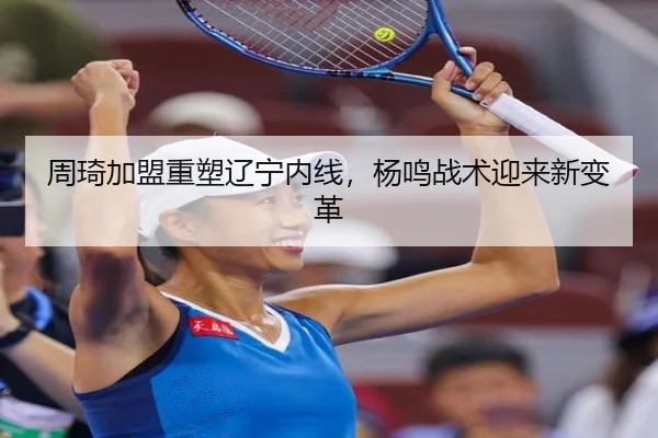 周琦加盟重塑辽宁内线，杨鸣战术迎来新变革