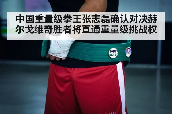 中国重量级拳王张志磊确认对决赫尔戈维奇胜者将直通重量级挑战权