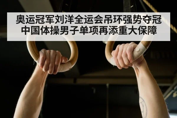 奥运冠军刘洋全运会吊环强势夺冠 中国体操男子单项再添重大保障