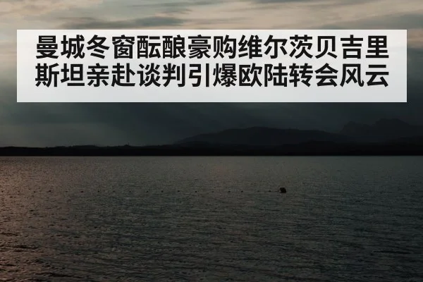 曼城冬窗酝酿豪购维尔茨贝吉里斯坦亲赴谈判引爆欧陆转会风云