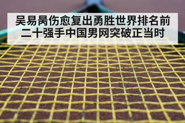 tennis racket closeup