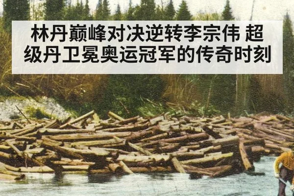 林丹巅峰对决逆转李宗伟 超级丹卫冕奥运冠军的传奇时刻